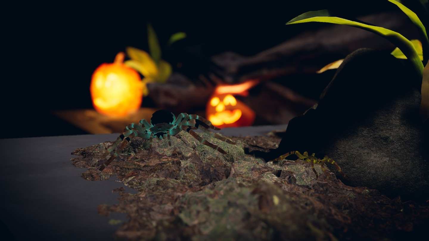 蜘蛛体验 - Relaxed spiders experience