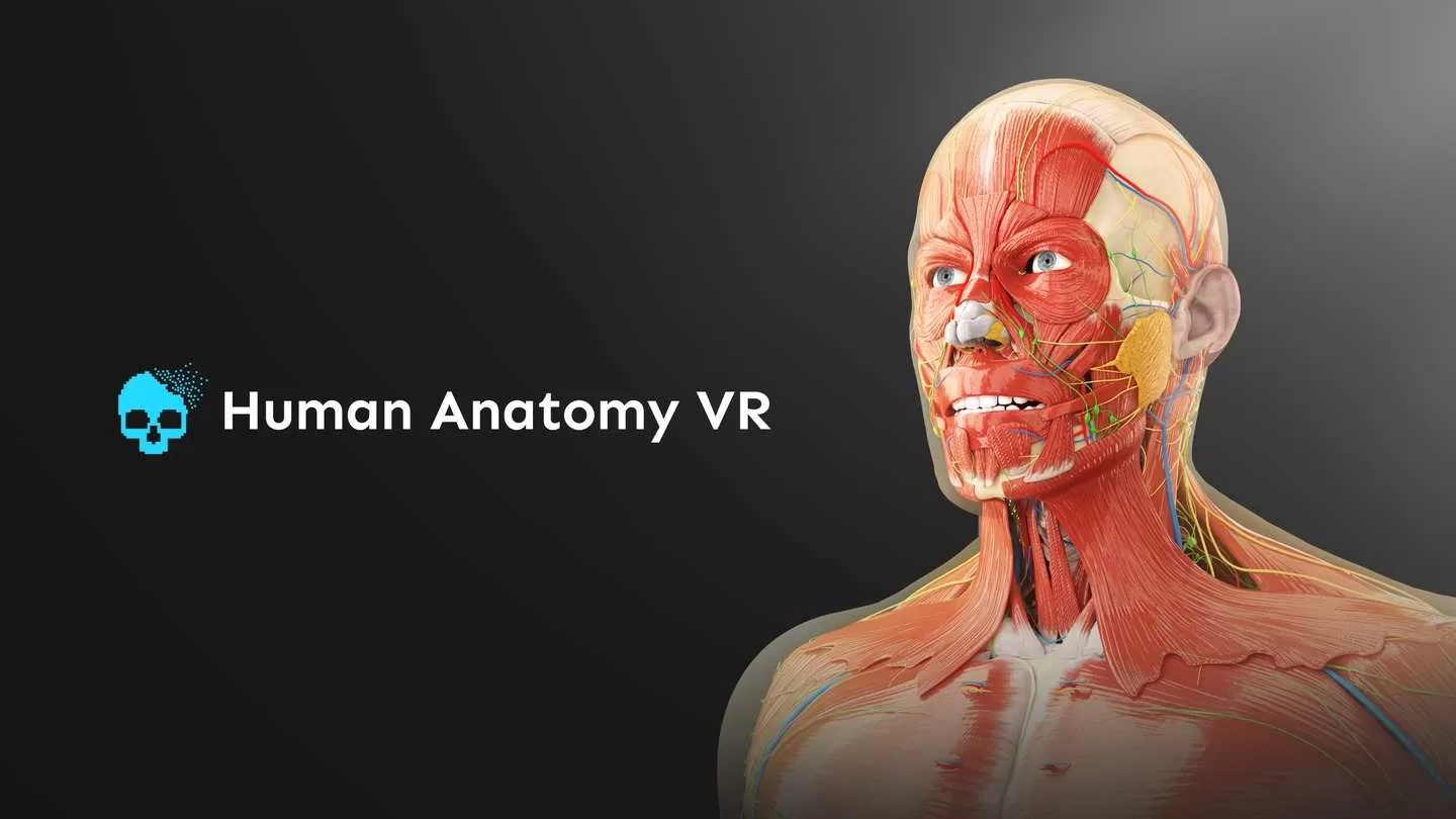 人体解剖VR - Human Anatomy VR